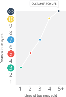 Lines of business, years of business comparison chart